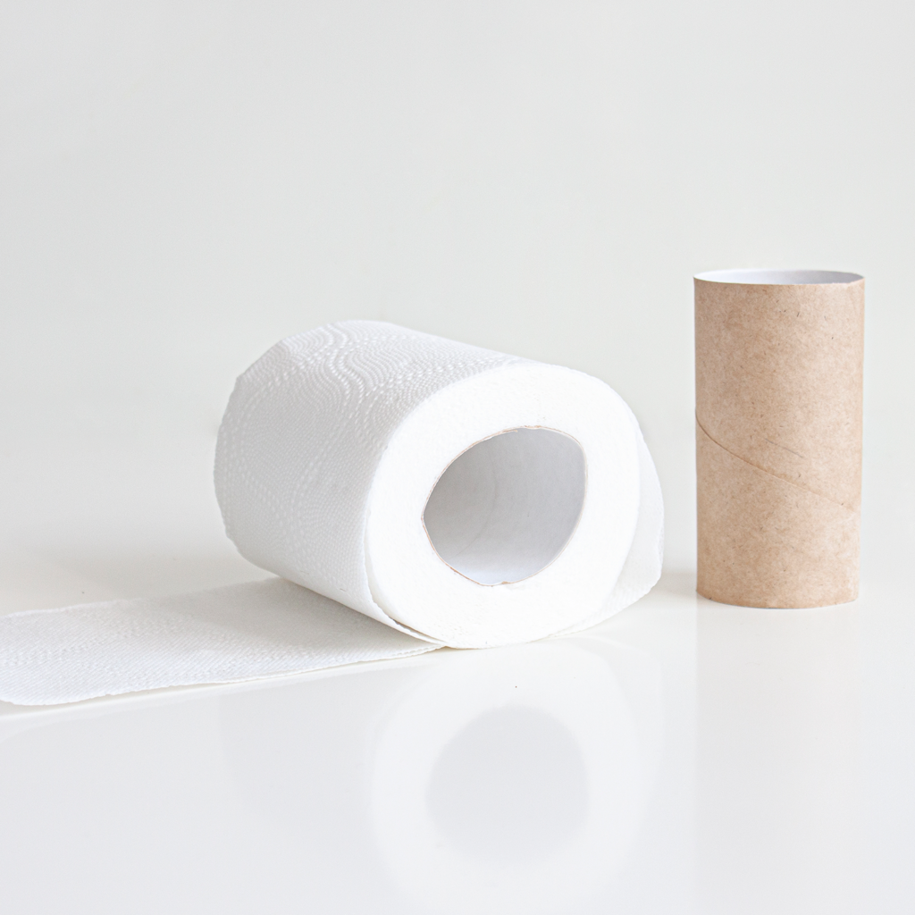 A roll of white toilet paper beside an empty cardboard tube.